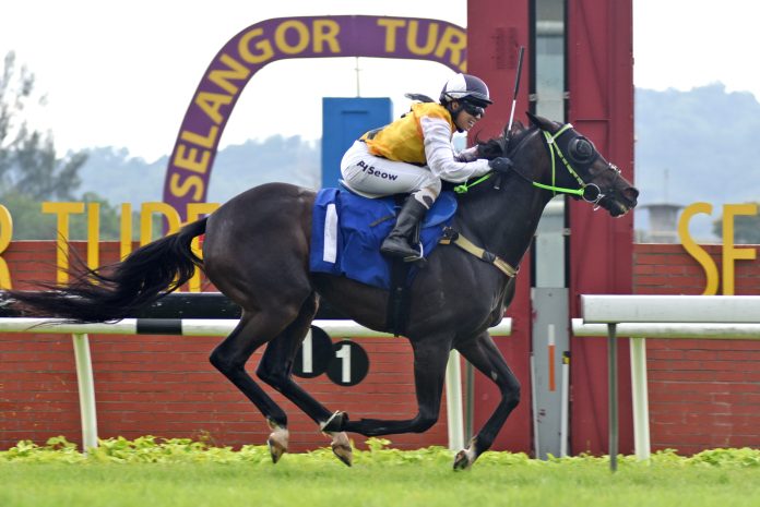 434650951_814452294045001_4300965899122699868_n Champion Singapore apprentice Jerlyn Seow storms to victory aboard Awesome Storm.