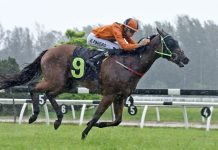 Antipodean’s stellar run continues in KL Antipodean kicks clear to make it four from four.