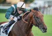 Prix d’Harcourt tops billing as Longchamp re-opens Grand Prix de Paris winner Feed The Flame back in action in Sunday's Prix d'Harcourt