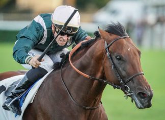 Grand Prix de Paris winner Feed The Flame back in action in Sunday's Prix d'Harcourt