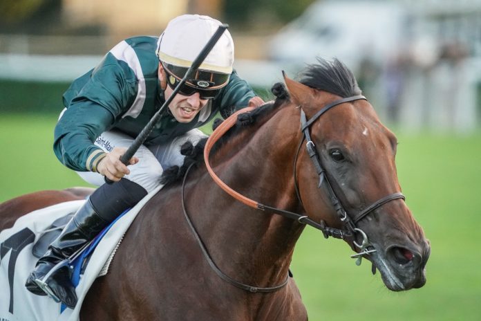9664fd0b-d9c3-4df4-859c-a3b9baf8d999 Grand Prix de Paris winner Feed The Flame back in action in Sunday's Prix d'Harcourt