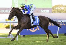 Maher and Waller dominate “red-hot” G1 Doncaster Mile field Aiming for his fifth consecutive victory and his sixth from what will be his eighth start