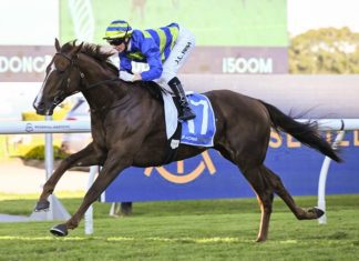 Aiming for his fifth consecutive victory and his sixth from what will be his eighth start