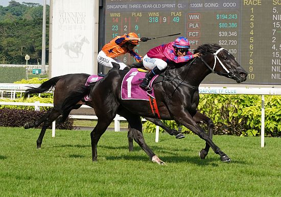 Ace Of Diamonds (Bruno Queiroz) is seeking two-in-a-row in the Group 2 Singapore Three-Year-Old Classic on Saturday.