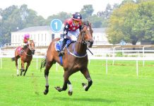 Buffalo Storm Cody the class act on Vaal card