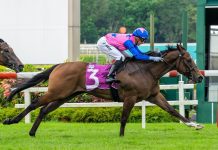 Moor back on Greatham Boy Greatham Boy (Daniel Moor) is looking for back-to-back wins in the Group 3 Singapore Three-Year-Old Sprint.