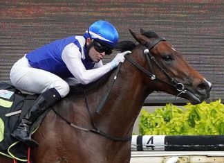 Ghalib (Manoel Nunes) makes a beeline for the winning post in the Kranji Stakes A (Race 8).