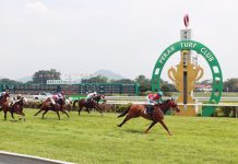 Trump surges to victory in the G1 Perak Gold Cup.