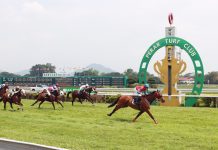 Trumpy trounces rivals in G1 Perak Derby win Trump surges to victory in the G1 Perak Gold Cup.