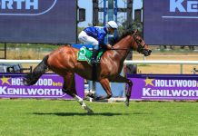 Domeyer, Fayd’Herbe dominate Winter Series opener