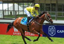 Crawford’s Cat can speed to success