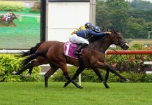 Lim's Kosciuszko (Marc Lerner, on the outside) seen here holding off stablemate Lim's Saltoro (Bruno Queiroz) in the Group 2 EW Barker Trophy on 21 April.