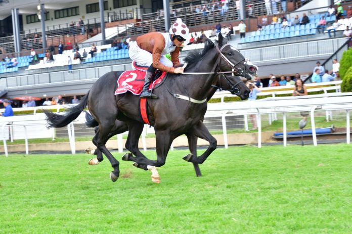 Lucky Lad_R Fourie