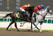 Double the joy for Moor on Pacific winners Pacific MV (Daniel Moor, No 10) eventually edges past Illustrious (Manoel Nunes) to win the Class 3 race.