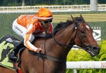 Class riser Pacific Vampire coasts home an easy winner Pacific Vampire (Bruno Queiroz) makes winning look easy in Race 8.