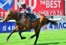 Purple Pitcher chases second Grade 1 in SA Derby Purple Pitcher, a son of New Predator, has won six of his past seven races, and appears to get better as he matures.