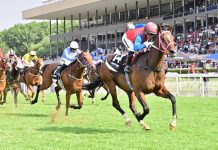 Champions go on show at Turffontein