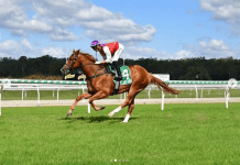 Flag Hall flying for Freedman Flag Hall wins decisively first-up at Ipswich last start.