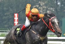 Progressive 3-year-old, STARLIGHT GLIMMER (3), appears on target to record a winning hat-trick in the 1150m Class 4A (Race 4).