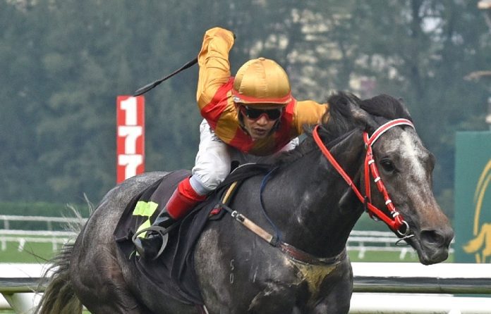 Starlight Glimmer Progressive 3-year-old, STARLIGHT GLIMMER (3), appears on target to record a winning hat-trick in the 1150m Class 4A (Race 4).