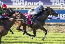 Overpass wins The Quokka. (image Western Racepix)