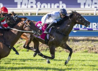 Overpass wins The Quokka. (image Western Racepix)