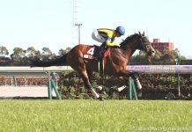Prognosis lands back-to-back wins in the G2 Kinko Sho.