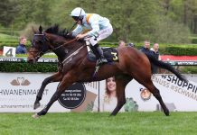 Brave Emperor with his regular partner Luke Morris.