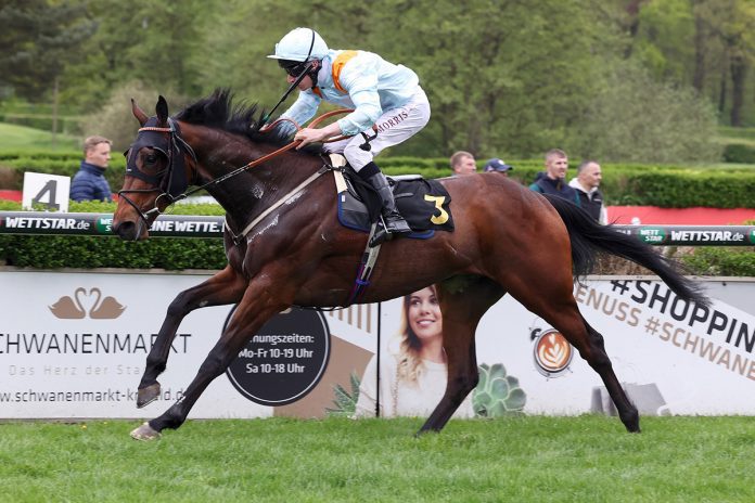 Brave Emperor with his regular partner Luke Morris.