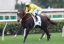 Hugh Bowman hopes to coax best from Lucky Sweynesse Lucky Sweynesse has nine 1200m wins at Sha Tin.