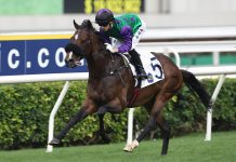 Flaming Rabbit and Lyle Hewitson are not for catching.