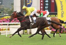 Lucky Sweynesse’s season ends with fractured fetlock injury Lucky Sweynesse surpasses Invincible Sage in Sunday's Group 2.