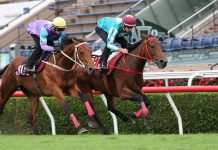 Romantic Warrior (outside) trials at Sha Tin.