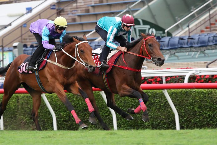 Romantic Warrior (outside) trials at Sha Tin.