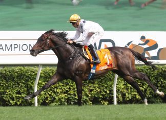 Golden Sixty is bidding for a fourth G1 FWD Champions Mile (1600m).