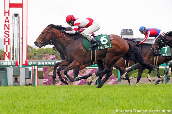 Obamburumai has won races in Australia and Japan.