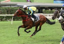 Massive Sovereign stretches out at Happy Valley today.