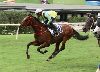 Massive Sovereign stretches out at Happy Valley today.