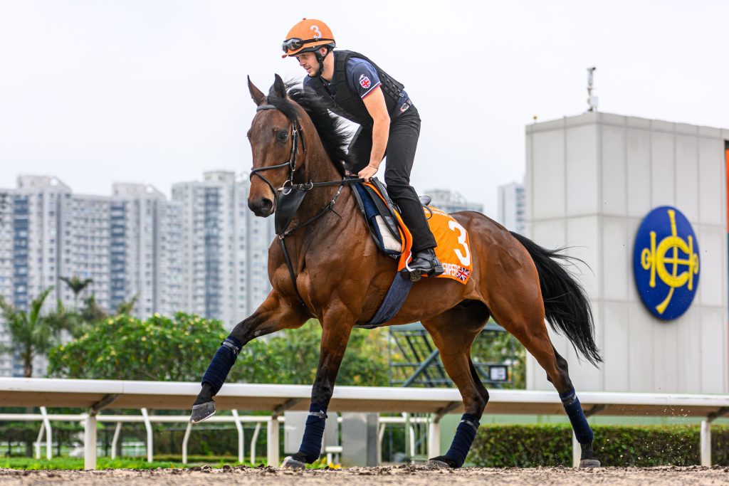 Brave Emperor works on Sha Tin dirt track.
