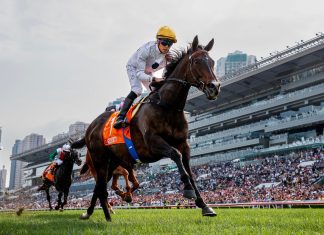 Golden Sixty has won 26 times in Hong Kong.