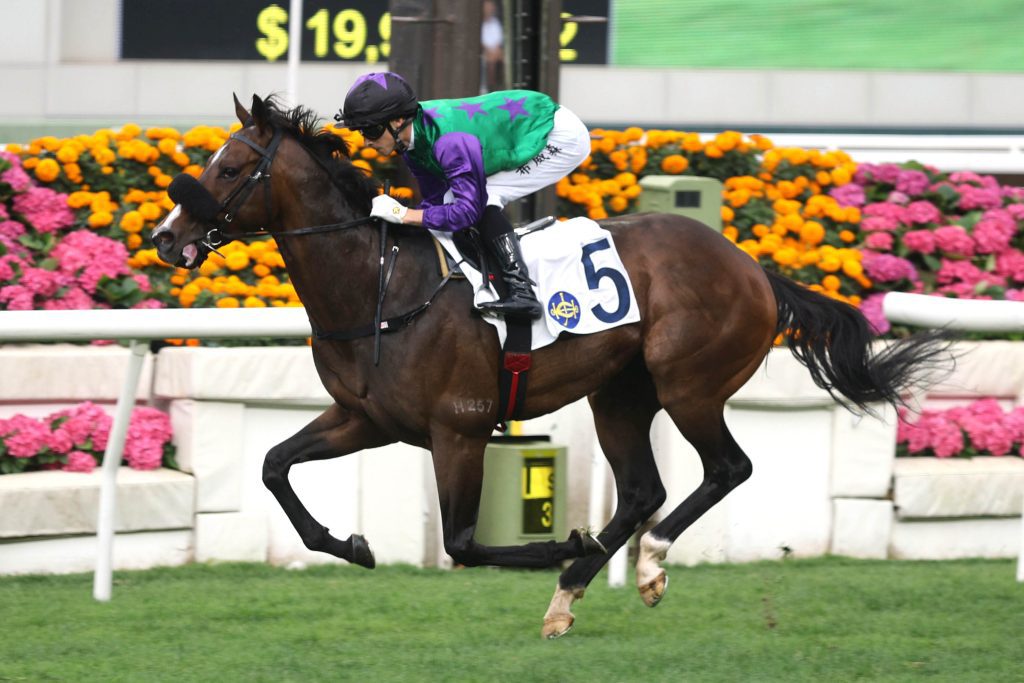 Flaming Rabbit makes all at Sha Tin.