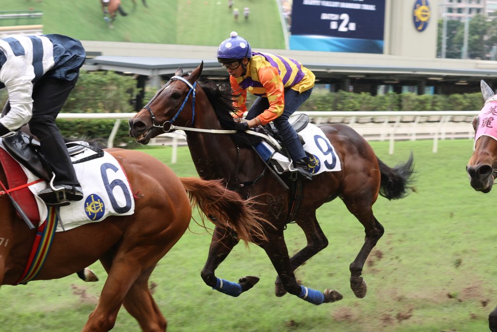Straight Arron is aiming for the FWD QEII Cup