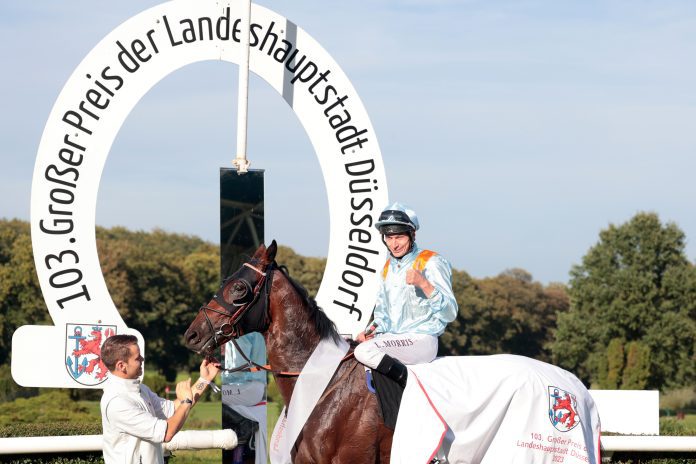 Luke Morris has high hope on Brave Emperor.