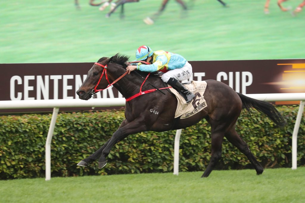 Victor The Winner is a Group 1 winner in Hong Kong.