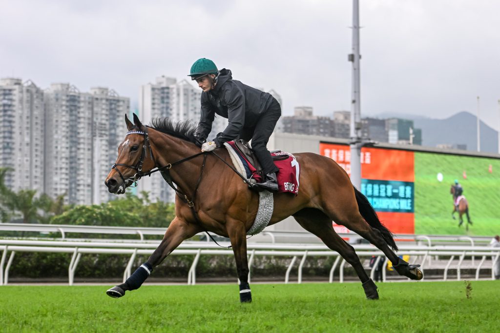Harry Bentley puts Believing through her paces.