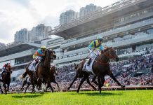 Massive Sovereign wins the 2024 BMW Hong Kong Derby.