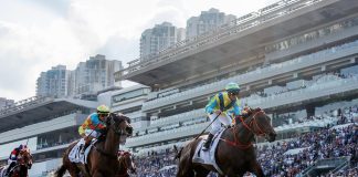 Massive Sovereign wins the 2024 BMW Hong Kong Derby.
