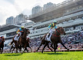 Massive Sovereign wins the 2024 BMW Hong Kong Derby.
