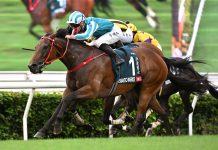 Romantic Warrior battles to historic third QEII Cup success Romantic Warrior charges into history.