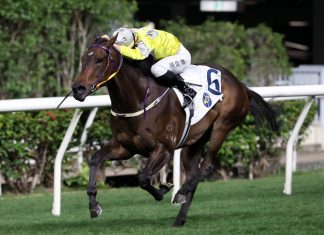 Super Joy N Fun wins on debut at Happy Valley.